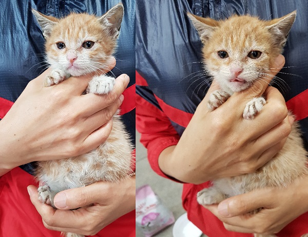 통실통실 너무 순한 남아예요.