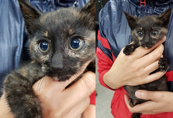 블루빛 눈이 너무 매력적인 여아예요.