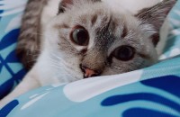 유하(19년12월24일생) 여아 / 새로운 가족을 찾습니다