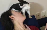 예쁜 5개월도 안된 아기 분양합니다❤️