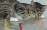 안녕하세요 가족을찾습니다