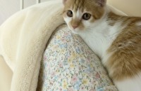 주차장에서 쫓겨난 루나의 평생 가족 찾습니다