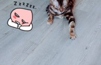 부산책임분양해요