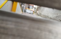 2개월남짓 아가냥이 입양처를 구합니다