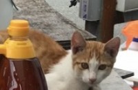 따뜻한 보금자리를 찾고 있습니다