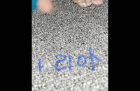 애기들 책임분양합니다