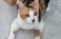 엄마 잃은 여아 보호 중