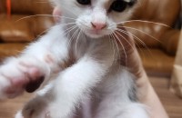 아가들 평생 집사님 기다려요~~