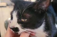 너무너무 순딩순딩한 이쁜아이 소개해 드려요