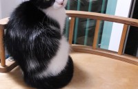 렉돌엄마와 먼치킨아빠의 아가랍니다