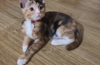 책임분양합니다