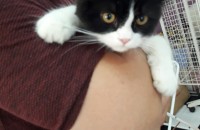 페르시안남아~진안동