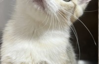 그냥 데려가세요.