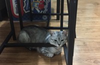 우리 빙수 잘 부탁드립니당 ~