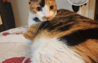 턱에 짜장묻는 공주님