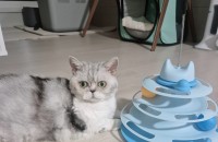 사랑으로키워주실분 찾아요