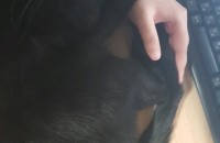 이천 인근 지역 + 서울 지역 분양하고 있습니다.