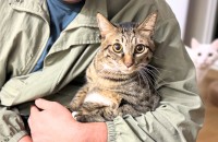 시루의 가족이 되어주세요(양육비 지원)