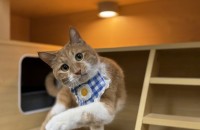 나리의 좋은 가족이 되어주세요 (양육비)