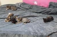 4월 4일에 태어난 귀염둥이입니다