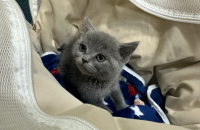 아가의 좋은가족 찾습니다.