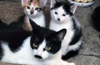 6주된 아가들입니다.