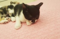 이쁘게 키워줄분