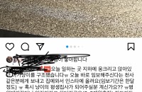 아기고양이 ㅠㅠ