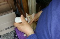 천사같은 아가들 데려가세요.....