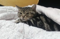 아메숏분양합니다 울산