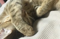 꼭 읽어주세요!