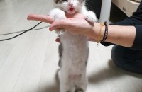 끝까지 사랑으로 보살펴주실 집사님