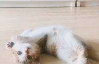 괜찮으시면 연락주세요