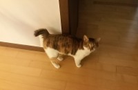 애교쟁이 지아