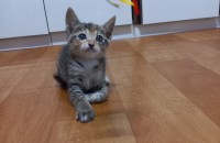 우리사랑이가 첫출산을 했어여~~^^