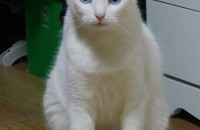 터앙숏2년중성화암 -" 미로"