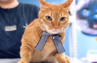 따뜻하게 보듬어 살펴주세요