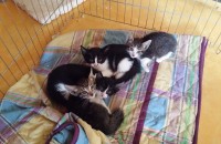 울 꼬마들 이쁘게 키워주세요