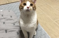 저희집 맥주 분양보내요