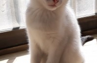 2월1일생일이구요 3째 에요