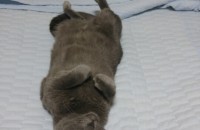 3살 남아 러블리~♥