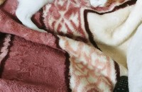 6개월정도된 코숏고양이 남아 분양합니다