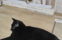 수원용인 근처 가능해요