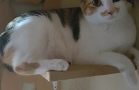 울산/미미의 새식구가 되어주세요