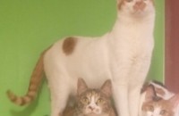 [성남]우리 아이들을 부탁합니다^^