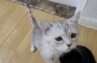 가족을 찾습니다.