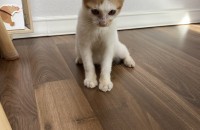 간절히 부탁드립니다! 가족을 찾습니다.