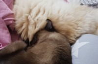 도와주세요 사랑스런아이들입니다