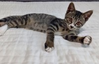 비오는 날 우연히 만난 아이