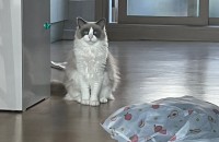 마산 개인사정으로 분양합니다